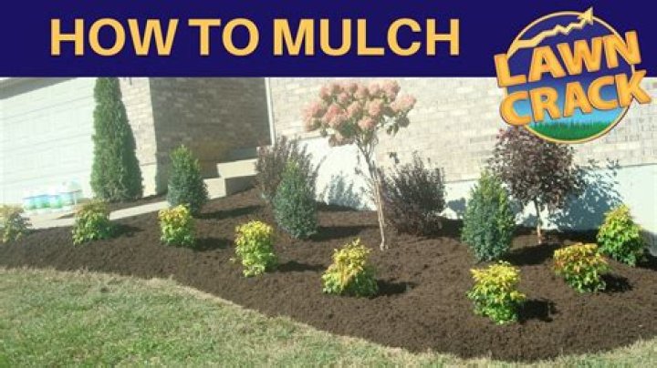 Should you mulch around foundation?