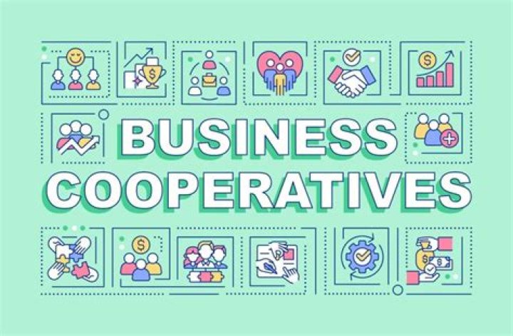 What are business cooperatives? | ContextResponse.com