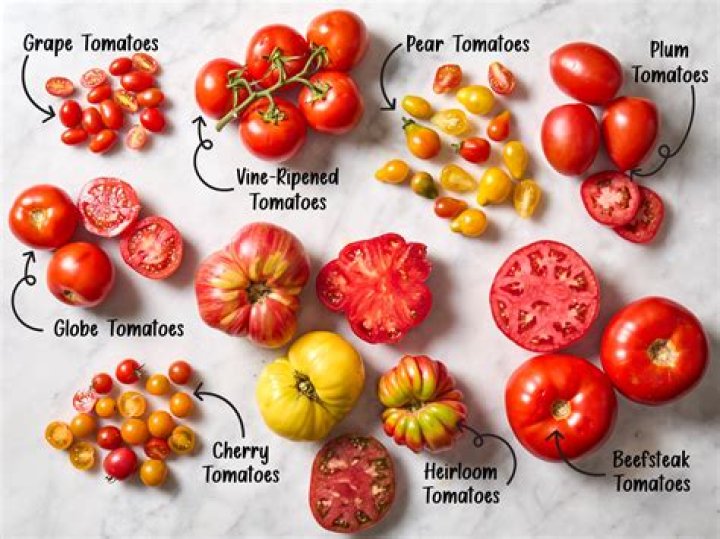 What are miniature tomatoes called?