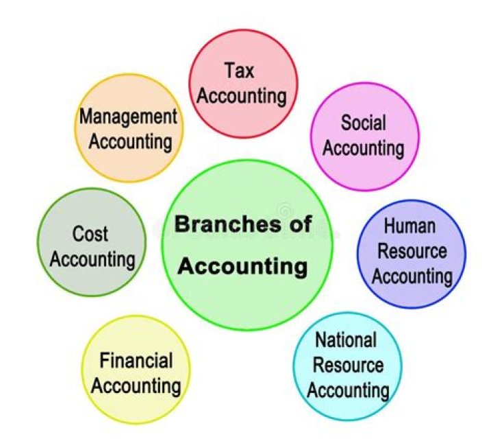 What are the 7 branches of accounting?