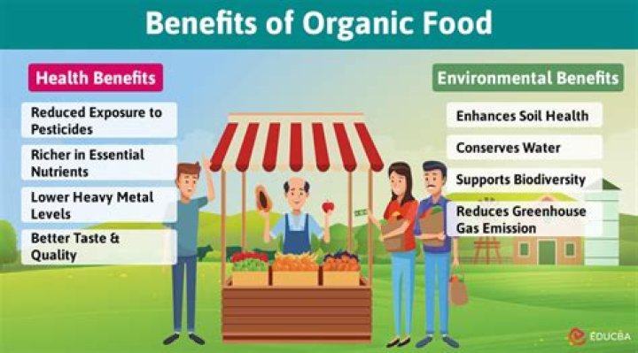 What are the benefits of organic food?