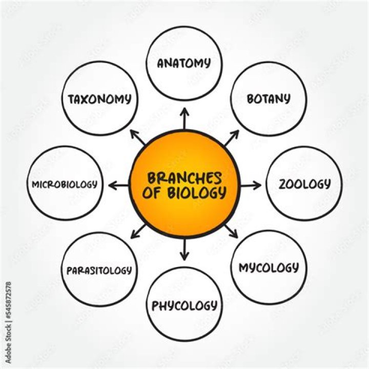 What are the branches of biology?