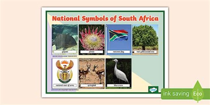 What are the five national symbols?