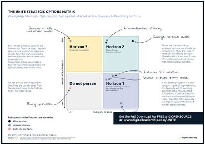 What are the four strategic alternatives?