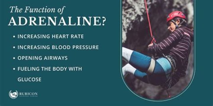 What are the functions of adrenaline and noradrenaline?
