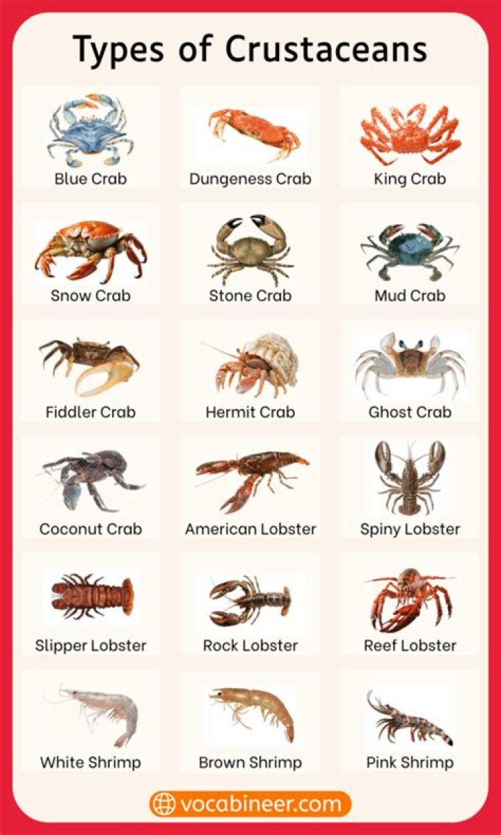 What are the mouthparts of crustaceans?