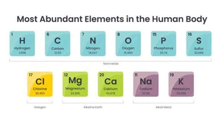 What are three elements that make up the bulk of living matter?
