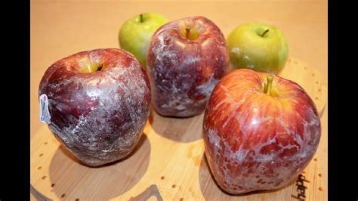 What are wax apples? | ContextResponse.com