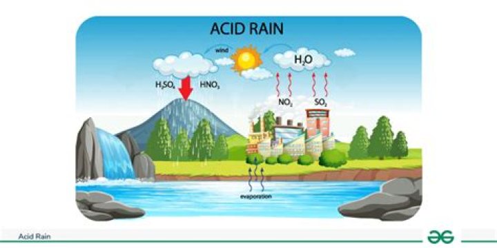 What are ways to stop acid rain?