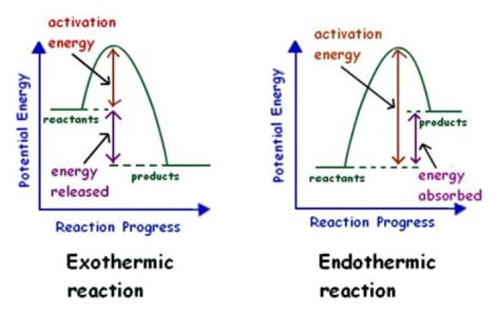 What changes of state are endothermic?
