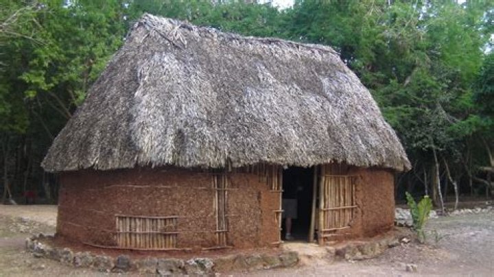What did the Mayans make their houses out of?
