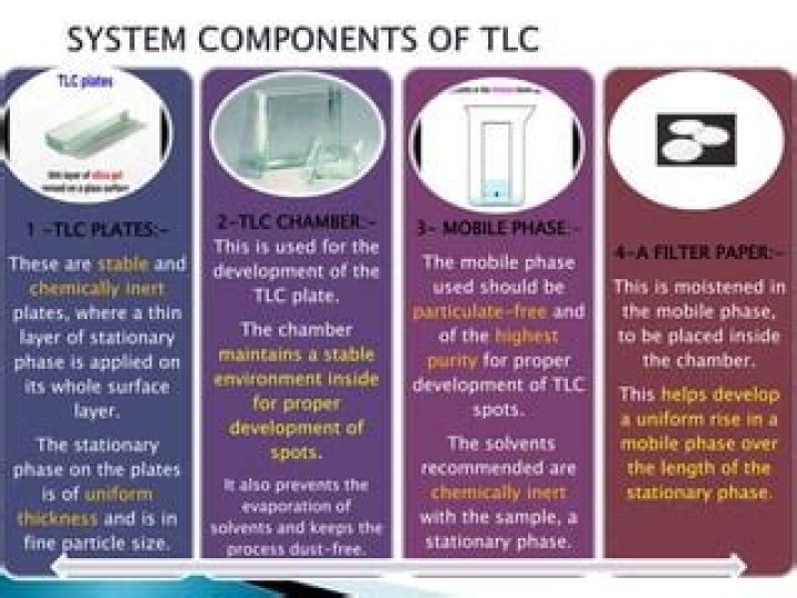 What do TLC plates tell you?