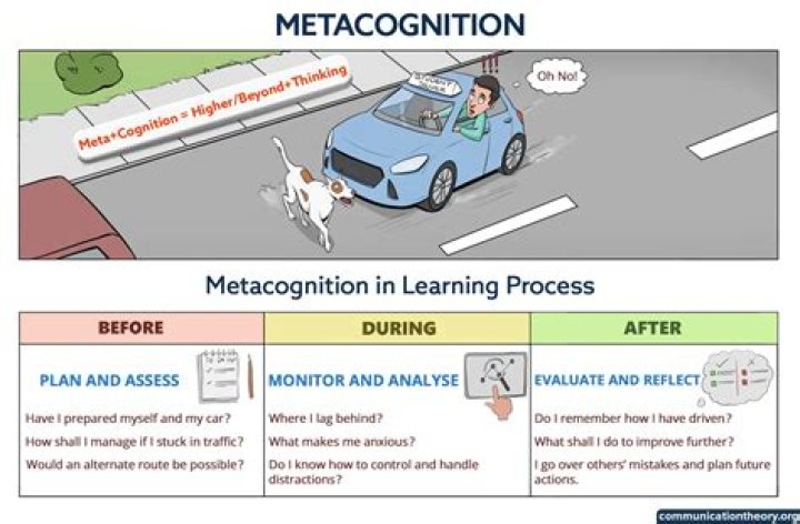 What do you mean by meta cognition?