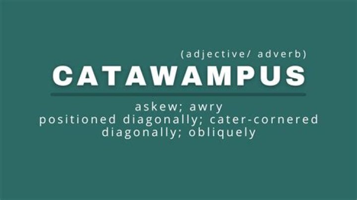 What does Catawampus mean? | ContextResponse.com