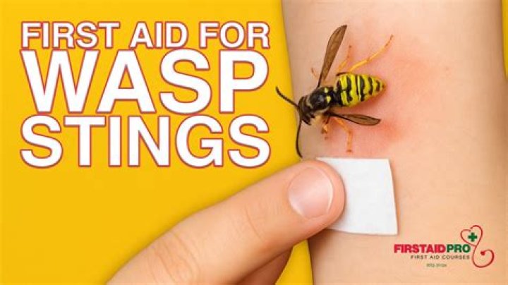 What does it feel like to be stung by a wasp?