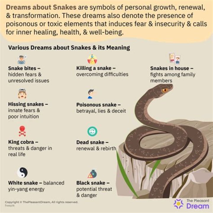 What does it mean when you dream about a lot of snakes?