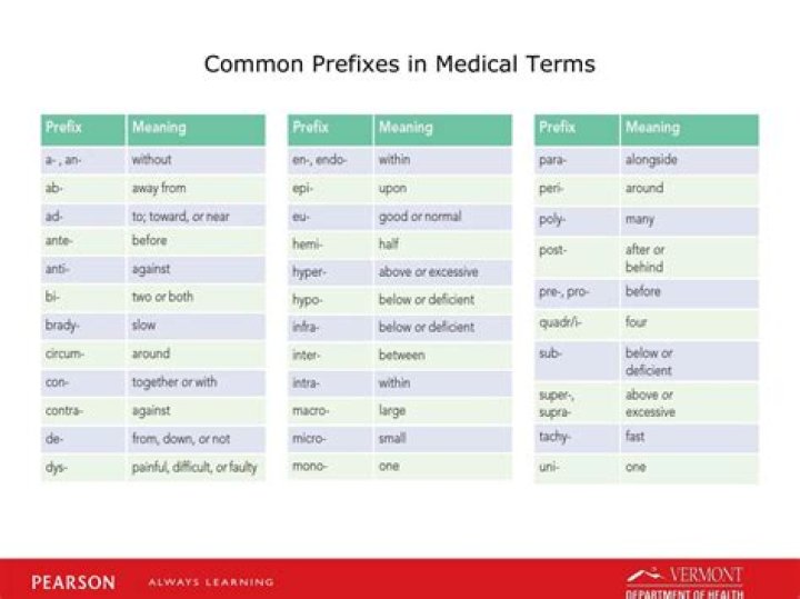 What does Para mean in medical terms?