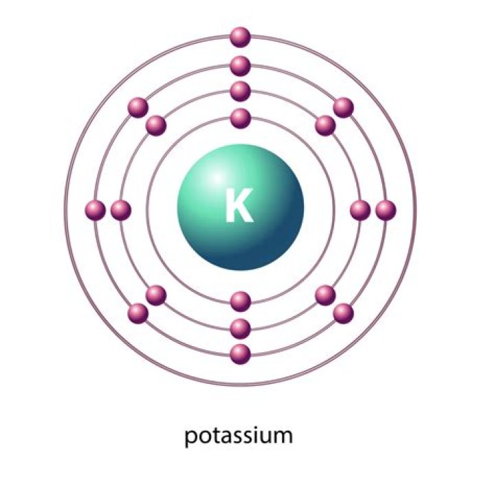 What does potassium do in the cell?