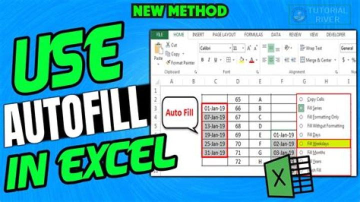 What does the AutoFill tool do?