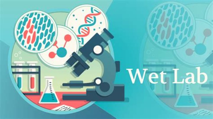 What does wet lab mean?