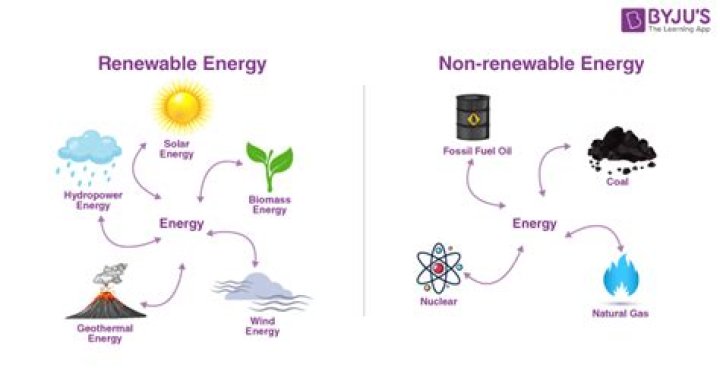What energy does Liver use?