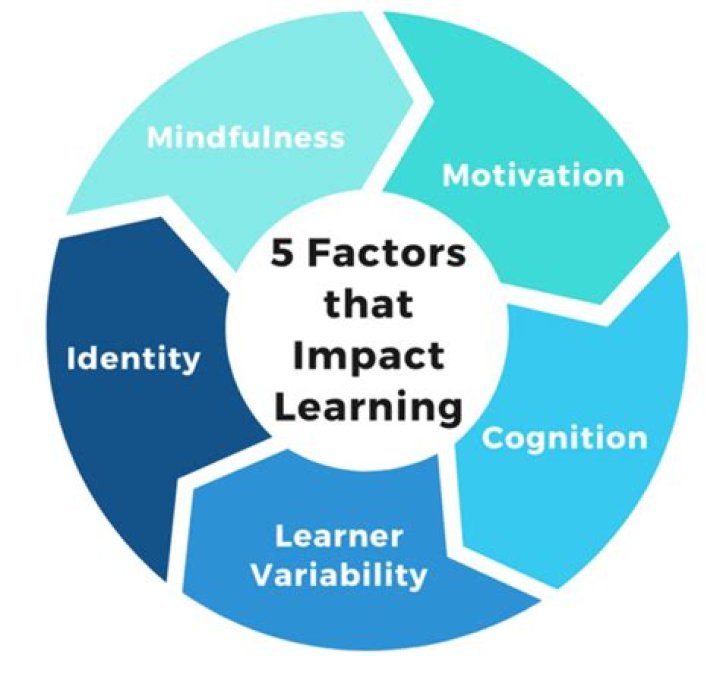 What factors influence learning to perceive?