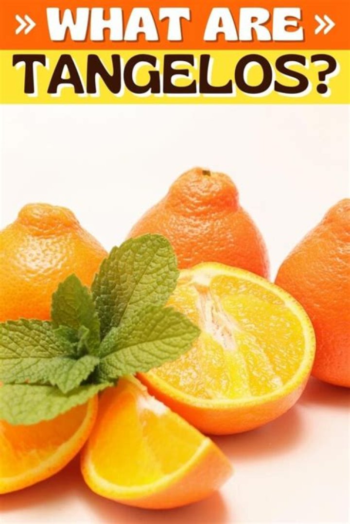 What fruits make tangelos? | ContextResponse.com