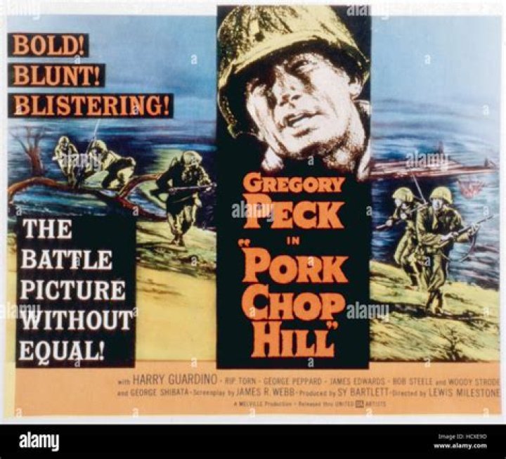 What happened at Pork Chop Hill?