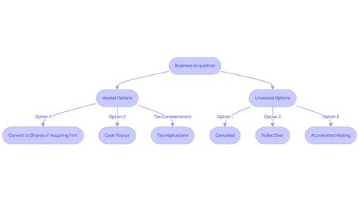 What happens to unvested options when a company is acquired?