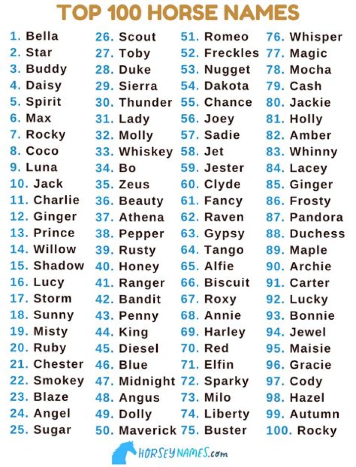 What is a good name for a pony?