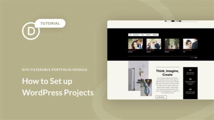 What is a portfolio project in WordPress?