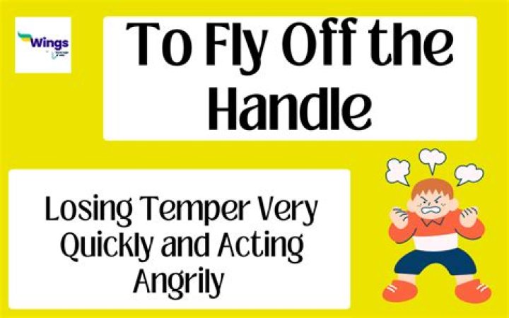 What is a sentence for fly off the handle?