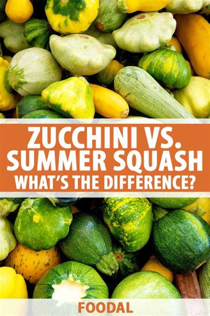 What is a squash match in wrestling?