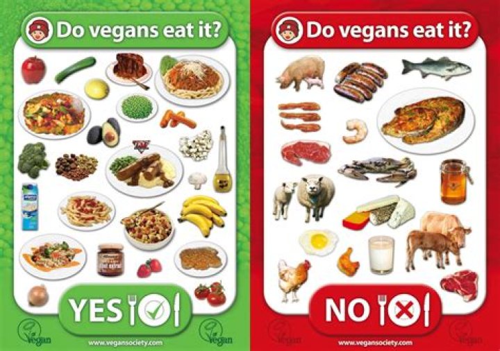 What is a vegan straight edge?