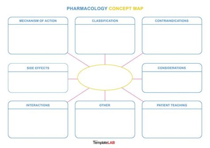 What is Concept Mapping PDF?