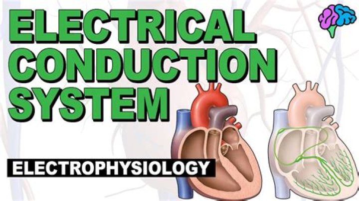What is conduction anesthesia? | ContextResponse.com