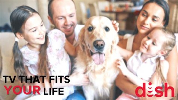 What is Dish DogTV?