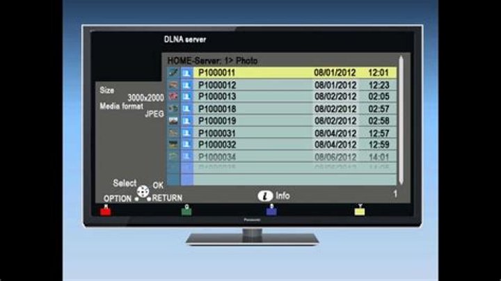 What is DLNA server Panasonic TV?
