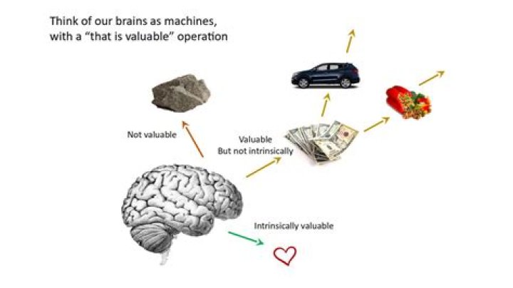 What is intrinsic value in nature?
