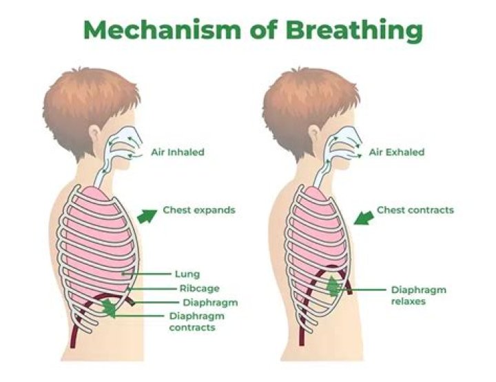 What is irregular breathing called?