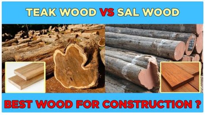 What is Malaysian Sal wood?