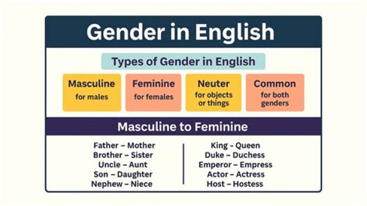 What is meant by grammatical gender?