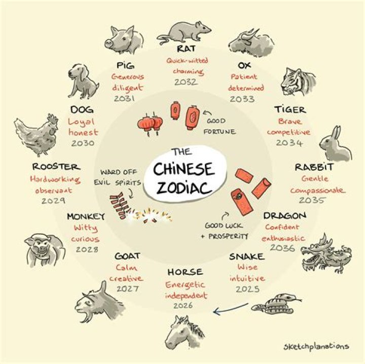 What is my Chinese animal zodiac?