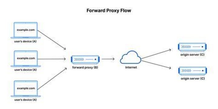 What is No_proxy environment variable?