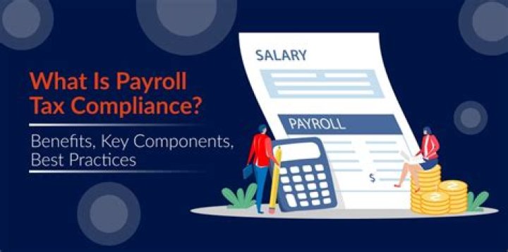 What is payroll tax compliance?