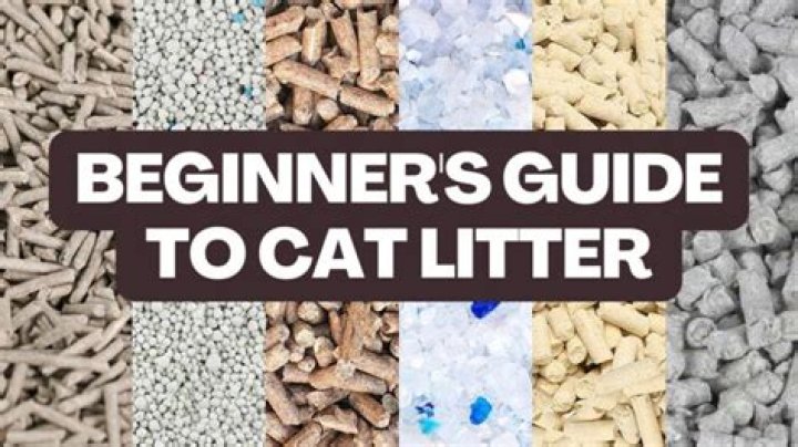 What is Skoon cat litter made of?