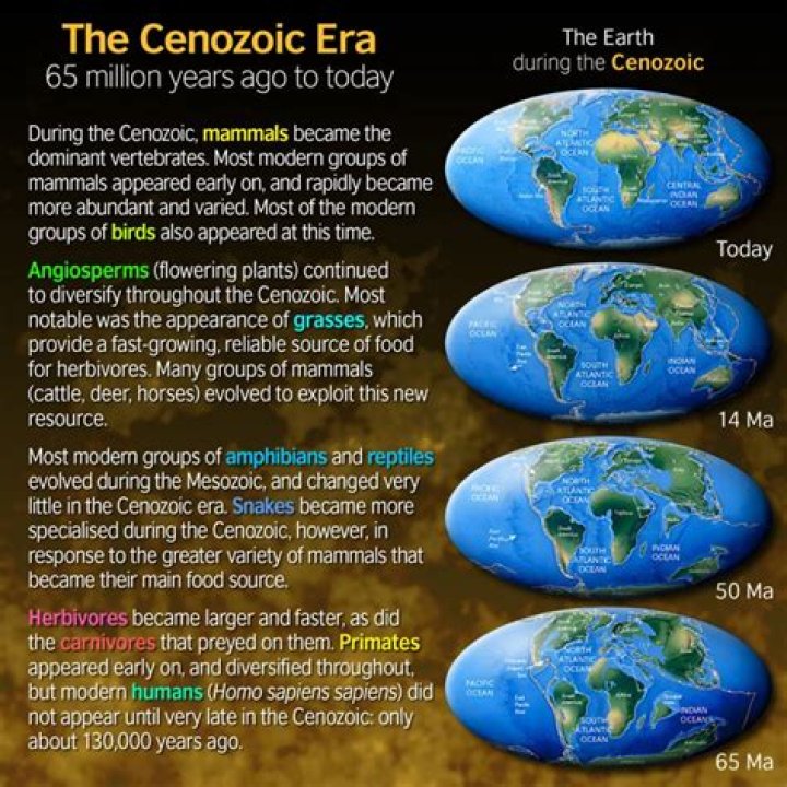 What is special about the Cenozoic Era?