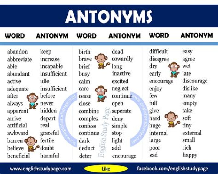 What is the antonym and synonym of active?
