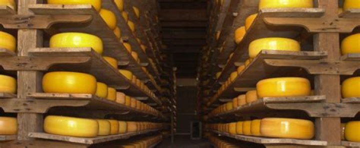 What is the best Dutch cheese?