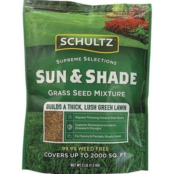 What is the best grass seed for sun and shade?